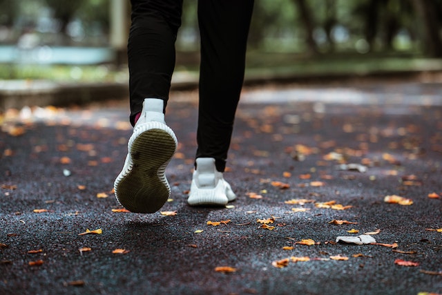 fall walking